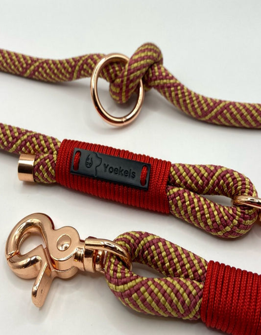 Handsfree hondenriem - Royal - 2,5m
